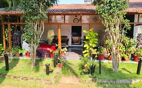 Plumeria Resort