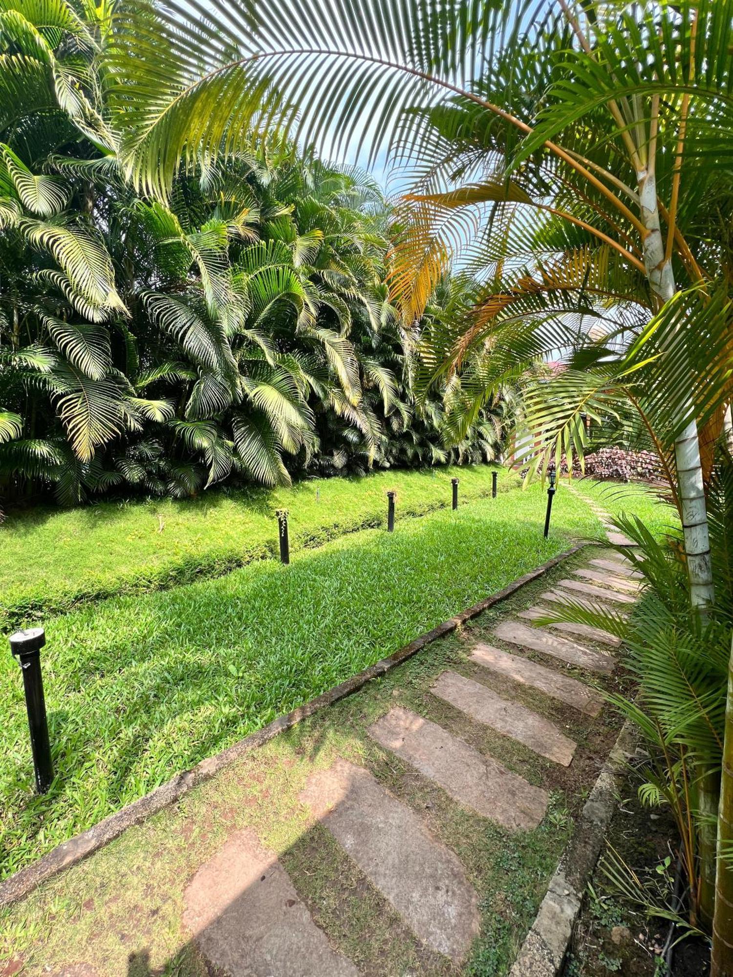 Plumeria Resort Kushalnagar Exterior photo